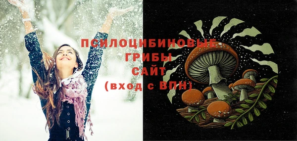 МДПВ Алзамай
