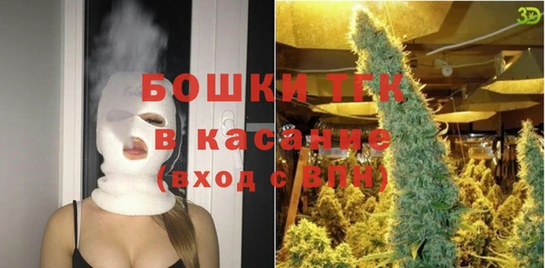 ГАЛЛЮЦИНОГЕННЫЕ ГРИБЫ Алексин