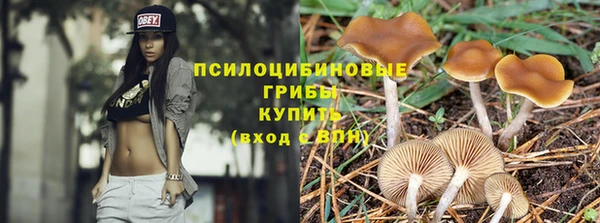 трава Галич